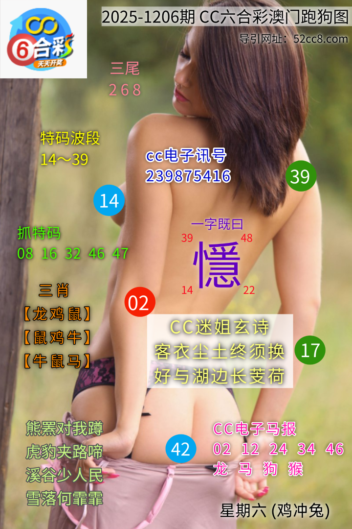 CC六合澳门跑马图1206期